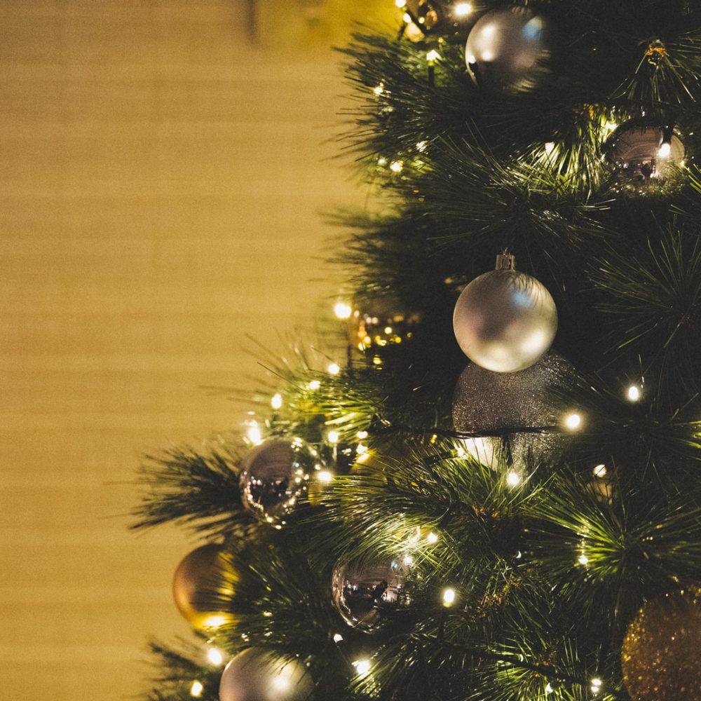 Cena aziendale di Natale al ristorante Panatta a Treviso